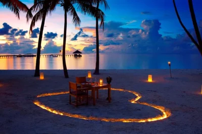Proposal-DInner